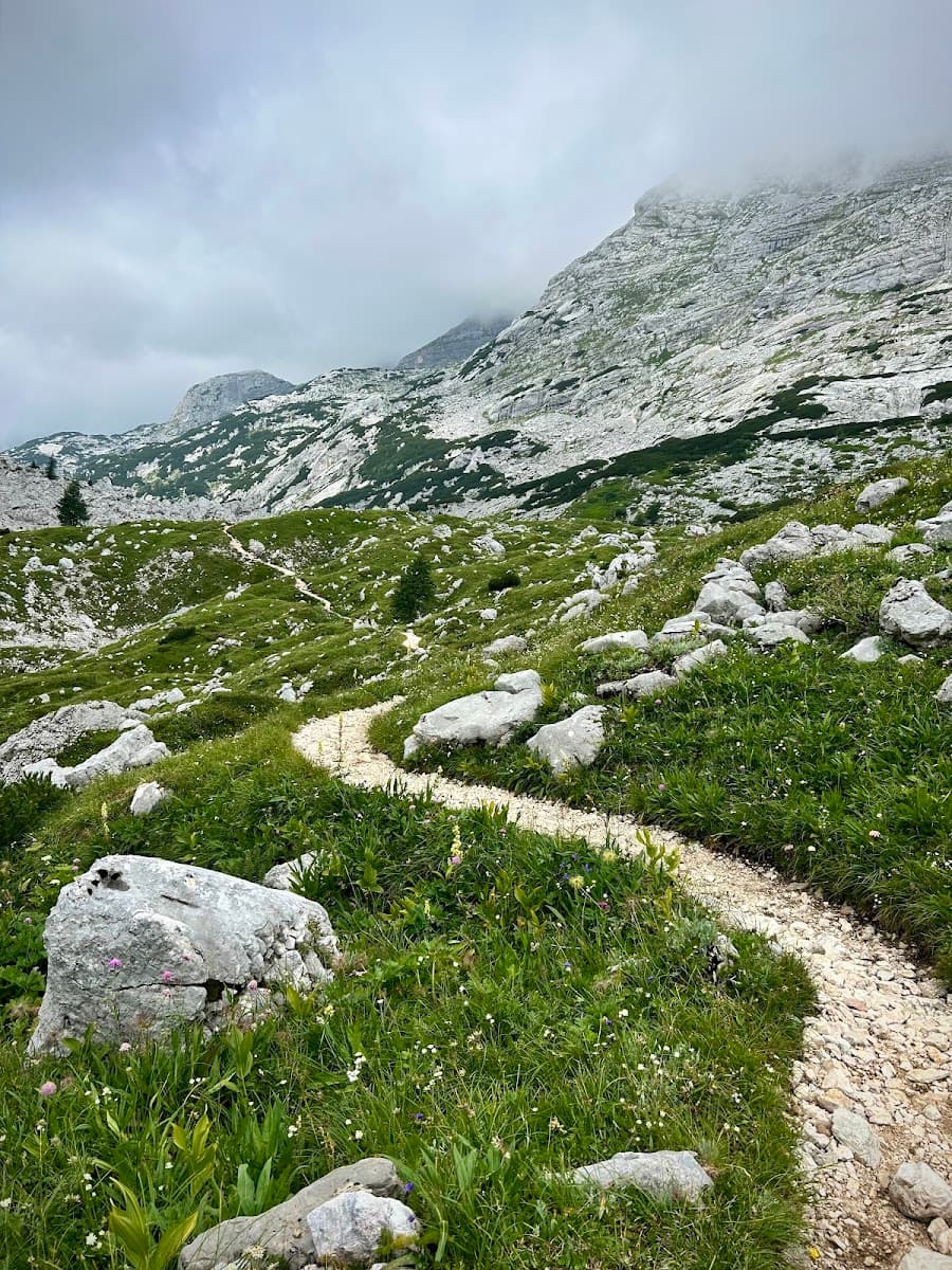 Hiking trail winding through alpine mountain landscape with green grass and rocky peaks