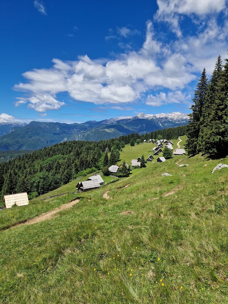 Wooden huts on a grassy alpine meadow with pine forest and mountain peaks