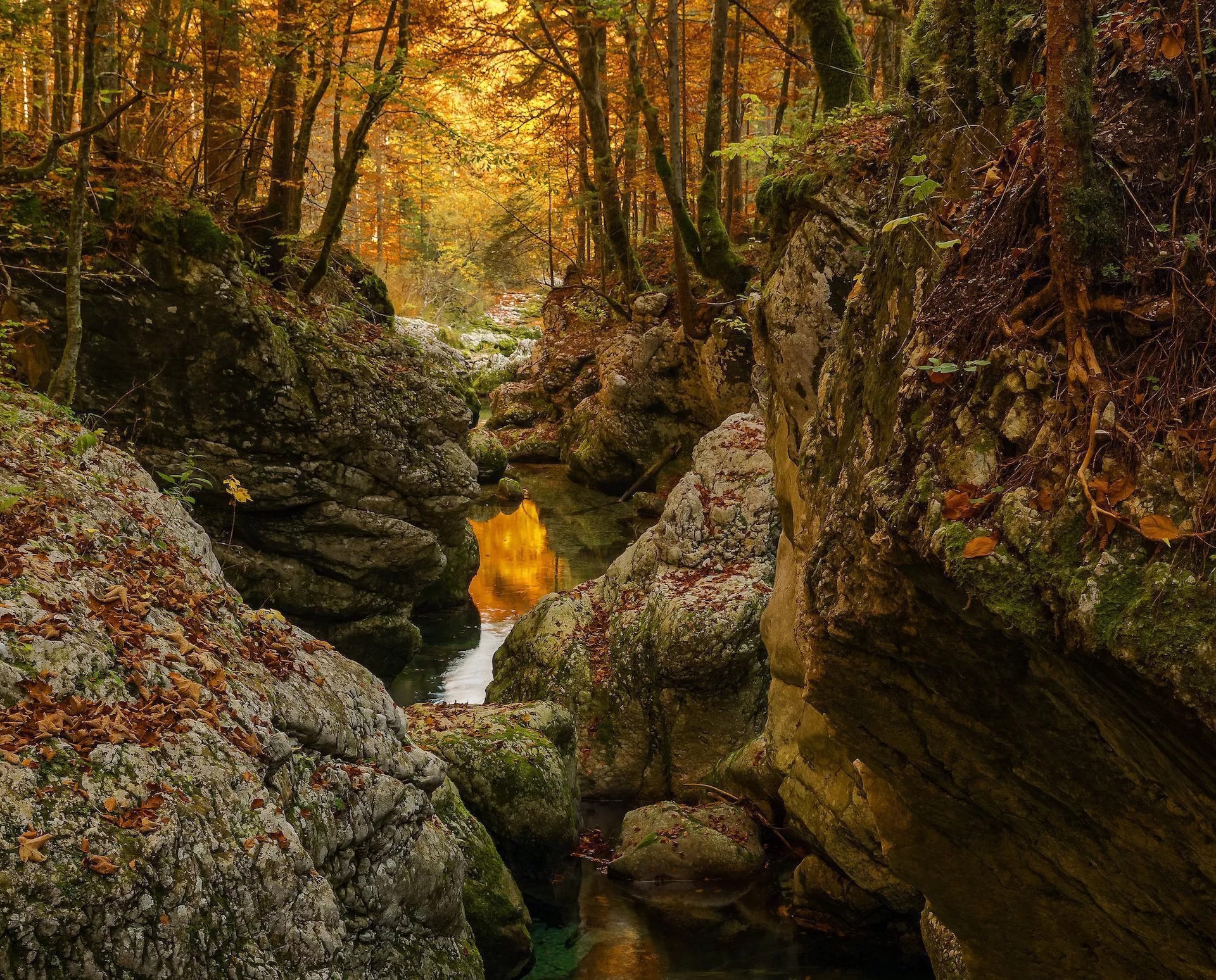 Sendero de Cabaña a Cabaña en el Valle de Siete Lagos