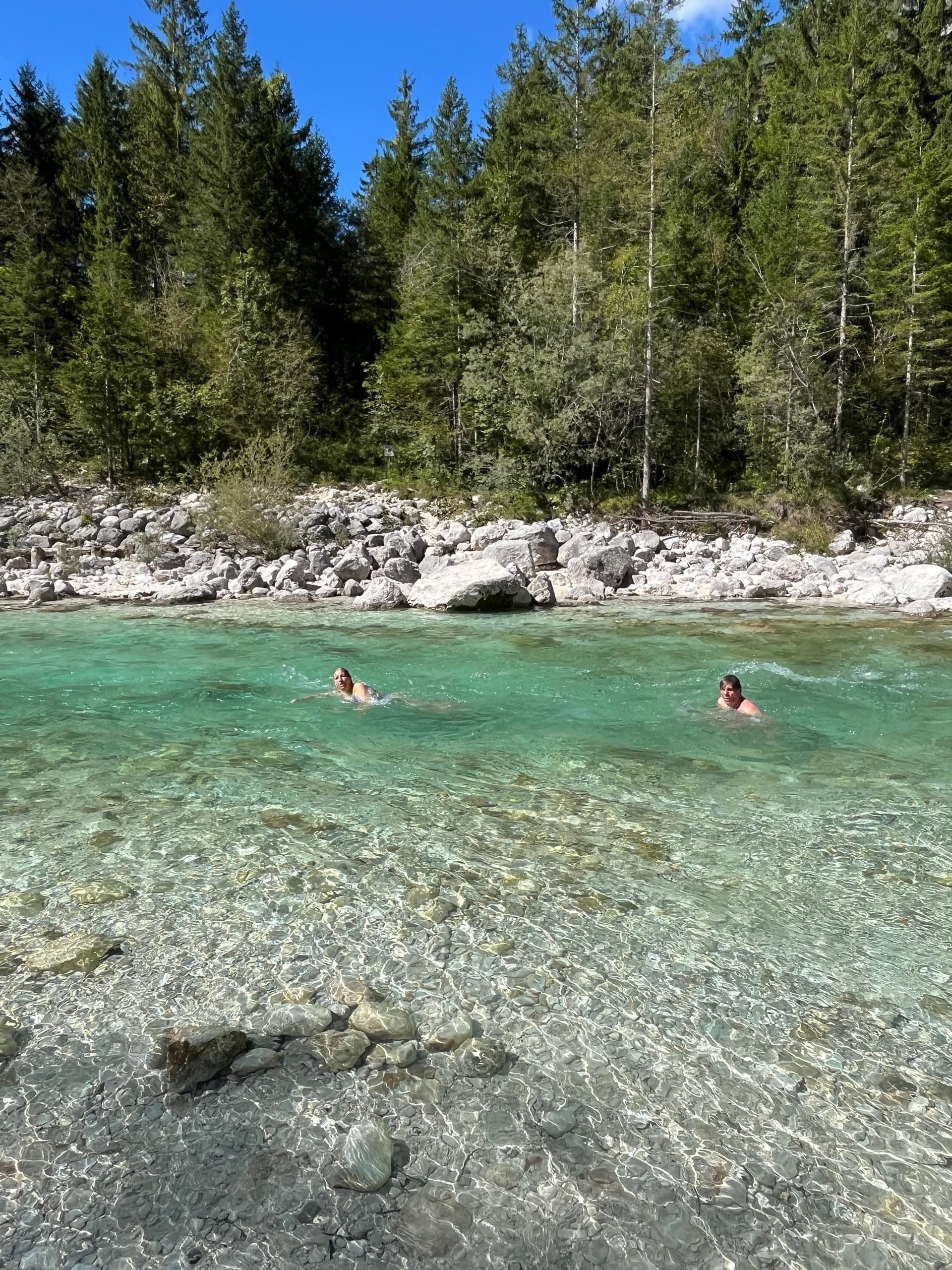 Swimmers in turquoise river with rocky bank and pine forest background