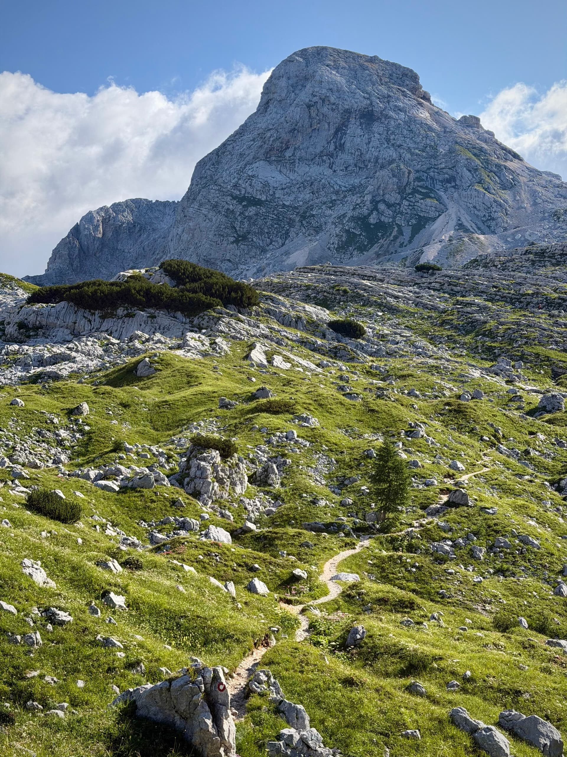 Hiking trail winding through a rocky green alpine landscape toward a large mountain peak