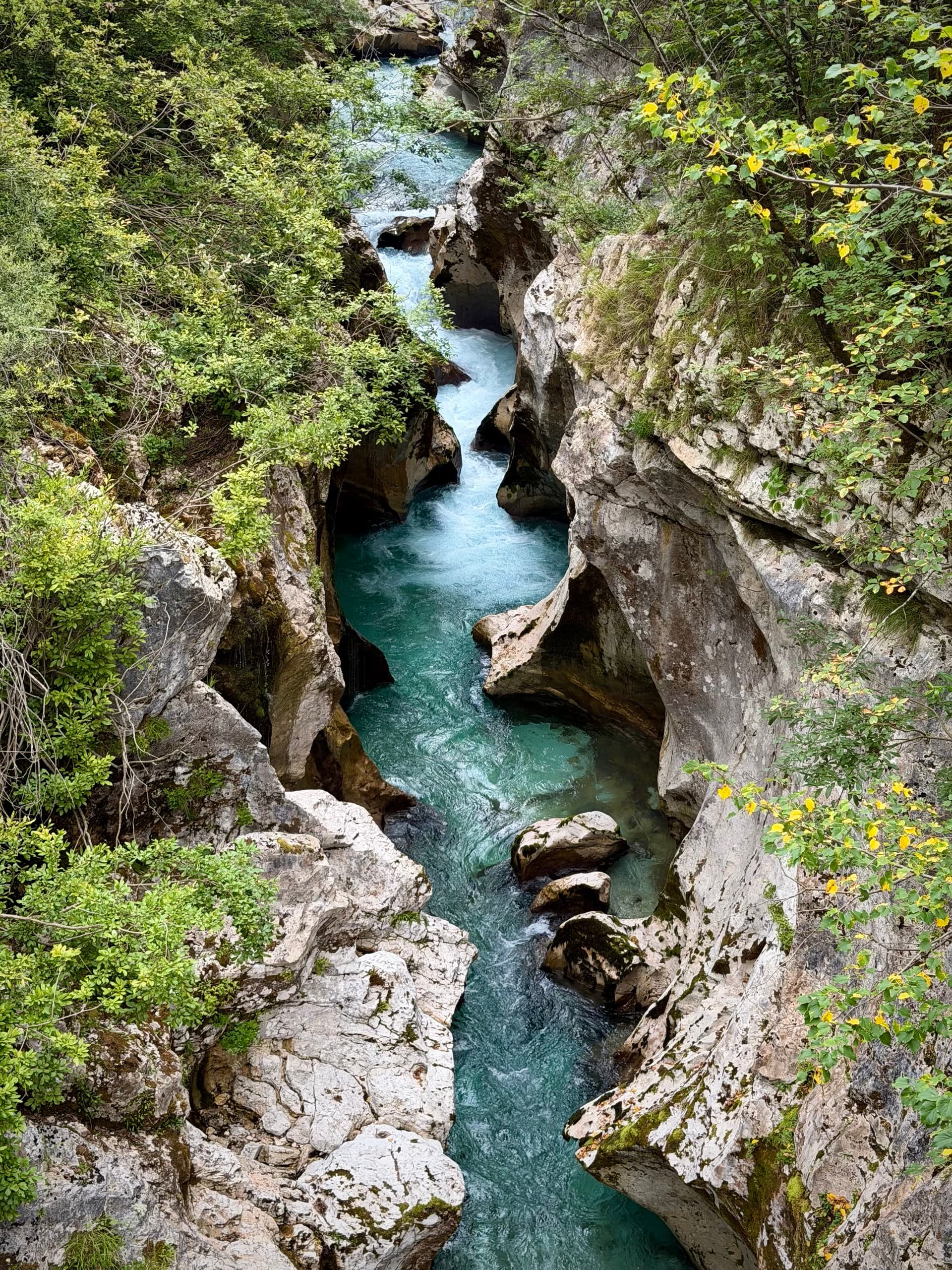 Turquoise river flowing through narrow rocky gorge with green foliage
