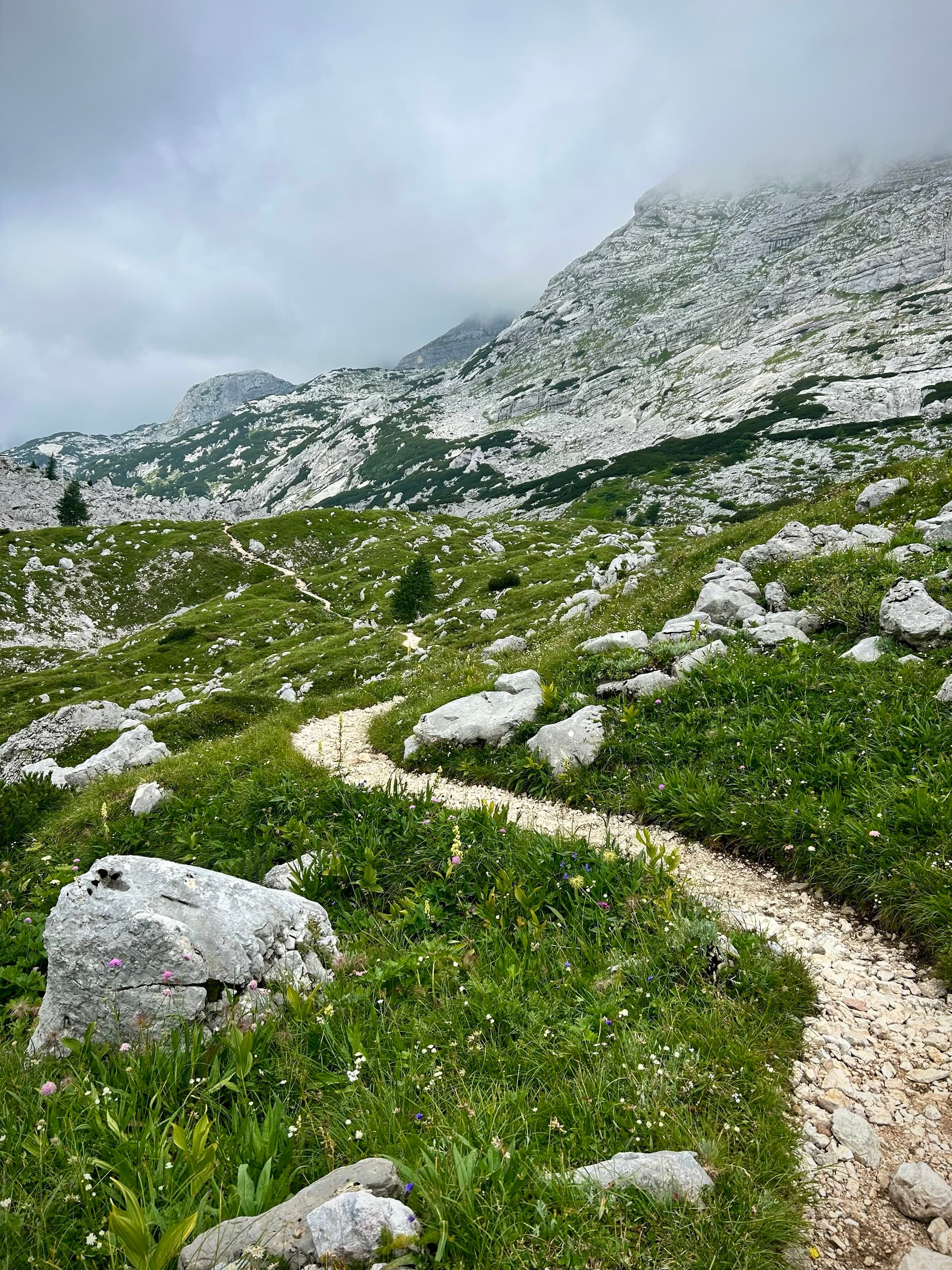 Winding gravel path through a green alpine meadow with rocky mountains and cloudy sky