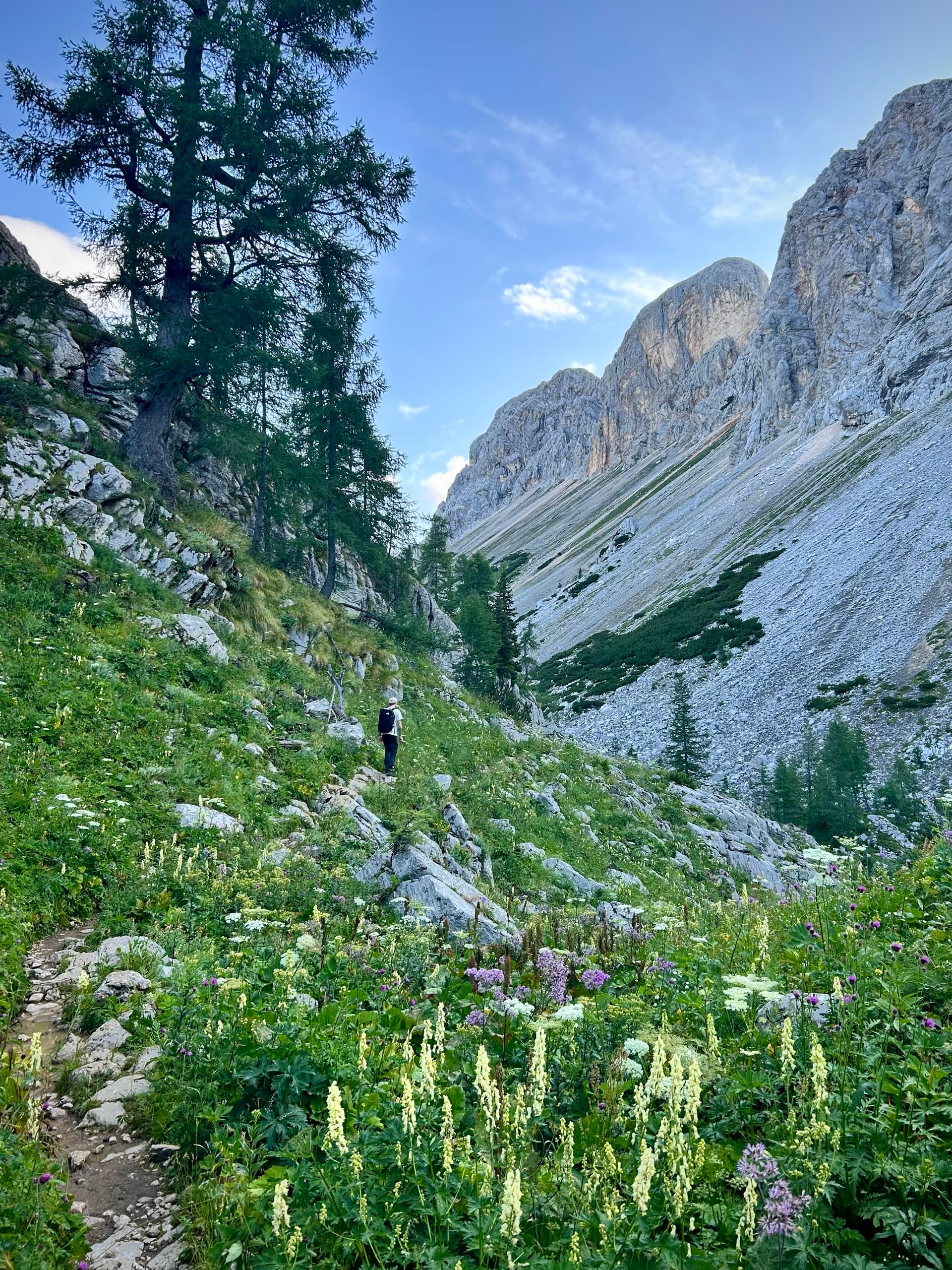 Hiker on mountain trail below tall cliffs and rocky peaks with wildflowers