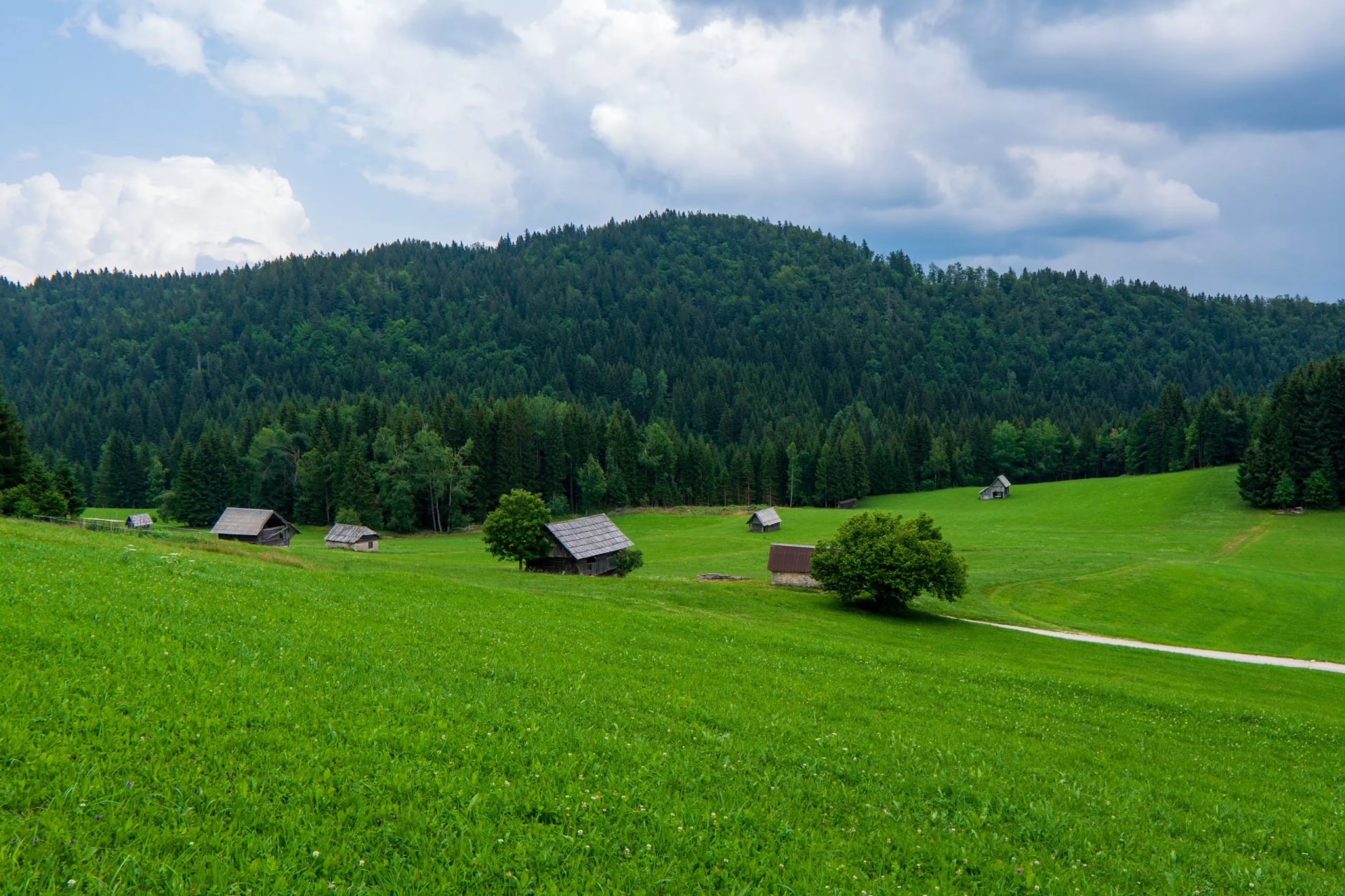 Typical landscape with wooden log cabins near Bohinjska Bistrica, Triglavski national park, Slovenia