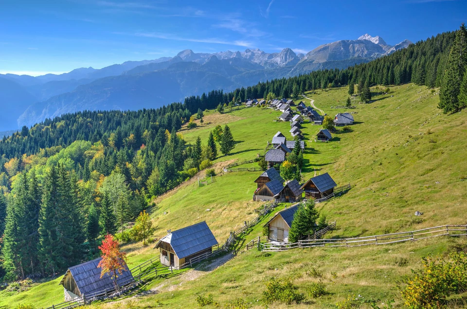Mountain pasture with wooden huts, green slopes, and Julian Alps in the background