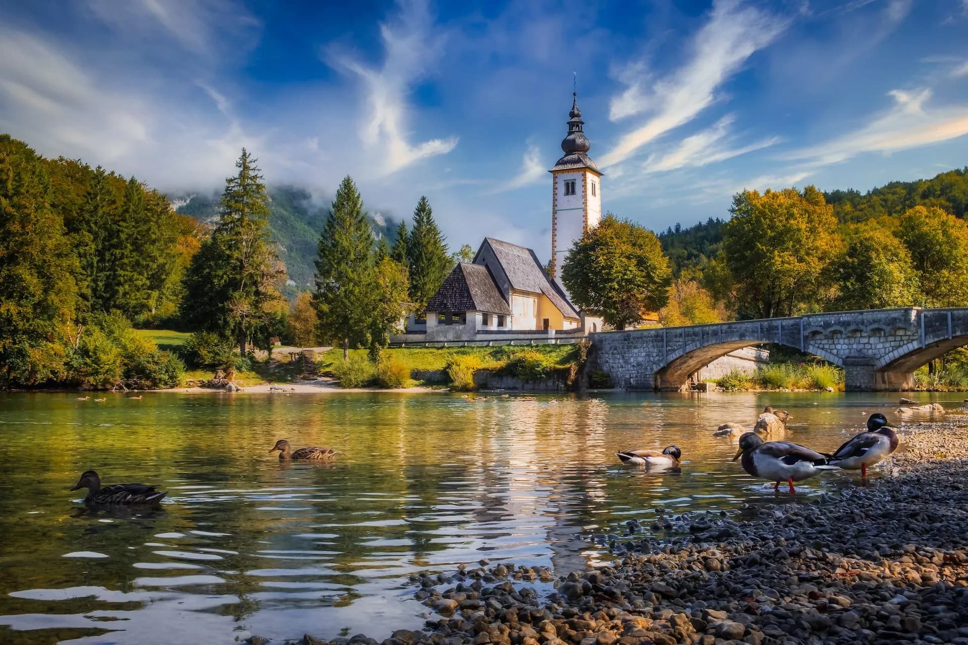 Ducks on rocky shore of clear lake near church and stone bridge, Bohinj, Slovenia.