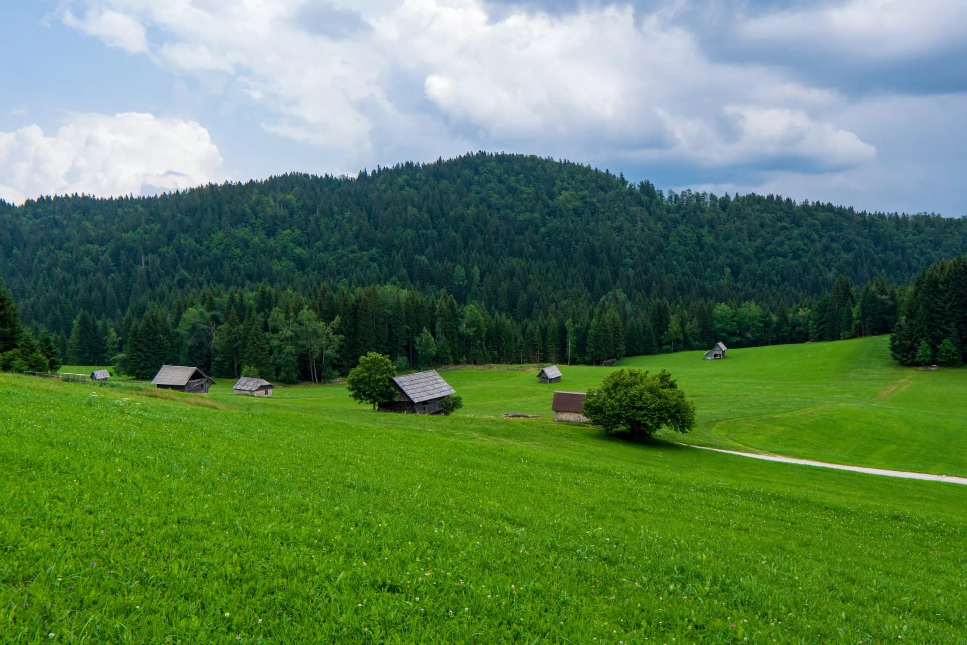 Wooden log cabins in a lush green meadow near a dense forest, Bohinjska Bistrica.
