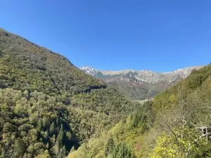Baška Grapa