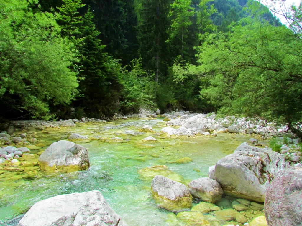 Colorful Koritnica river in Loska Koritnica valley in Julian alps