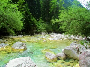 Colorful Koritnica river in Loska Koritnica valley in Julian alps
