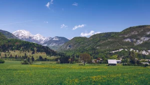 Colorful summer on the Stara Fuzina village in Triglav national park Slovenia