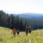 Hiking in Pokljuka Plateau