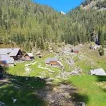 planina dedno polje looks almost exactly as it did 100 years ago