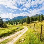mountain,pastures,at,pokljuka,plateau,,julian,alps.