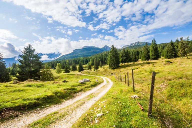 mountain,pastures,at,pokljuka,plateau,,julian,alps.