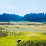 Photographer taking pictures at Pokljuka marshes, Julian alps.