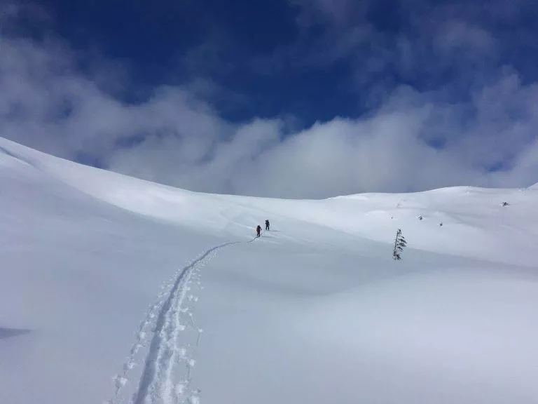 Ski touring in Vogel