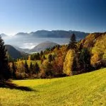 The magnificent Pokljuka