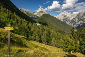 View of mt