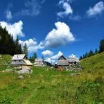 Visevnik pasture in summer