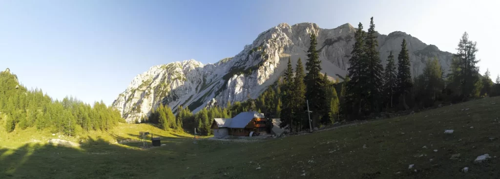 zelenica begunjscica