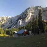 zelenica begunjscica