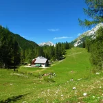 zelenica