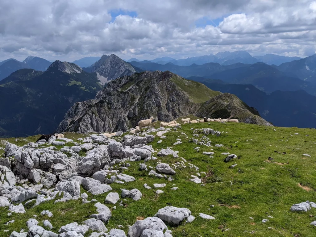 Begunjšica