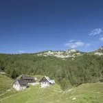 Blejska hut lipanca