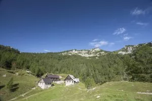 Blejska hut on Lipanca