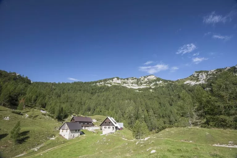 Blejska hut lipanca