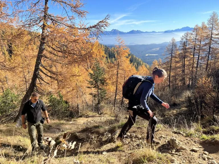 hiking in pokljuka scaled 2