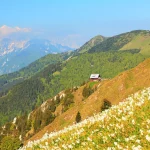view of golica hut