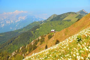 The view of Golica hut