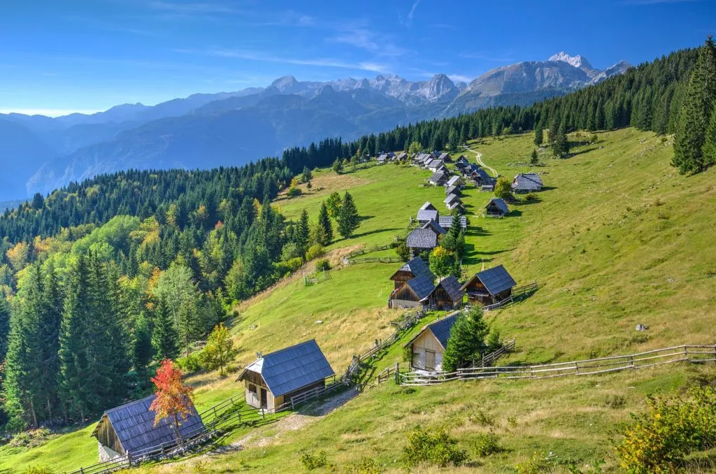 Zajamniki mountain pasture